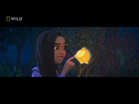 (Fanmade) National Geographic Wild (Asia) TV Spot: Wish (2023) | One Chance