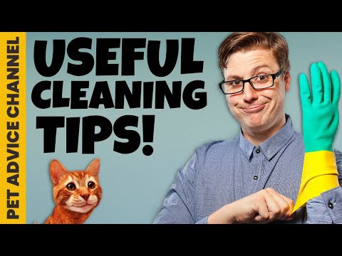 Cat litter box maintenance 101