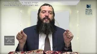 הדף היומי ירושלמי מסכת כלאיים דף מ