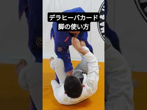 【柔術】デラヒーバガード　脚の使い方