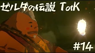 【ゼルダの伝説 ティアーズオブザキングダム】天井にくっつくのはおやめになって【14】