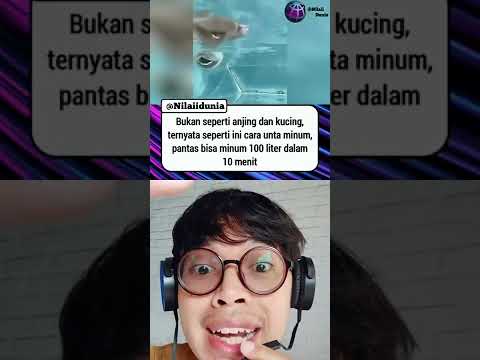 hi-guys-apa-kabar-udah-pada-makan-blom-nih-shorts-youtubeshort-videolucu