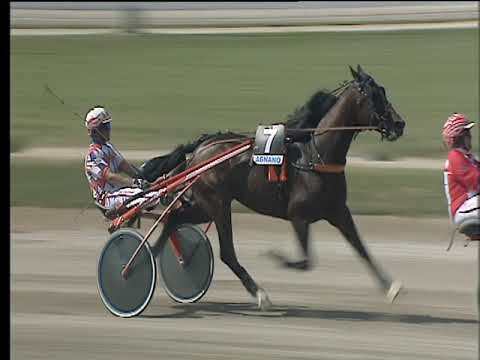 Trotto 29/04/2018 - 4ª corsa