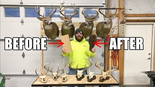 How to Make the Perfect Plaque for Your European Mount