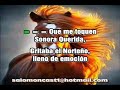 EL PARCHADO VICENTE FERNANDEZ LETRA KARAOKE