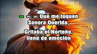 EL PARCHADO VICENTE FERNANDEZ LETRA KARAOKE