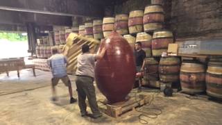 Thumbnail del capítulo