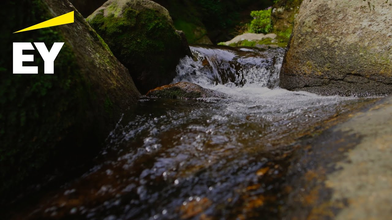 The EY AI & Data Challenge aims to bring safe water to all.