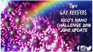 Rico’s Nano Challenge 2018 - Skull Reef June Update - Rico’s Aquariums