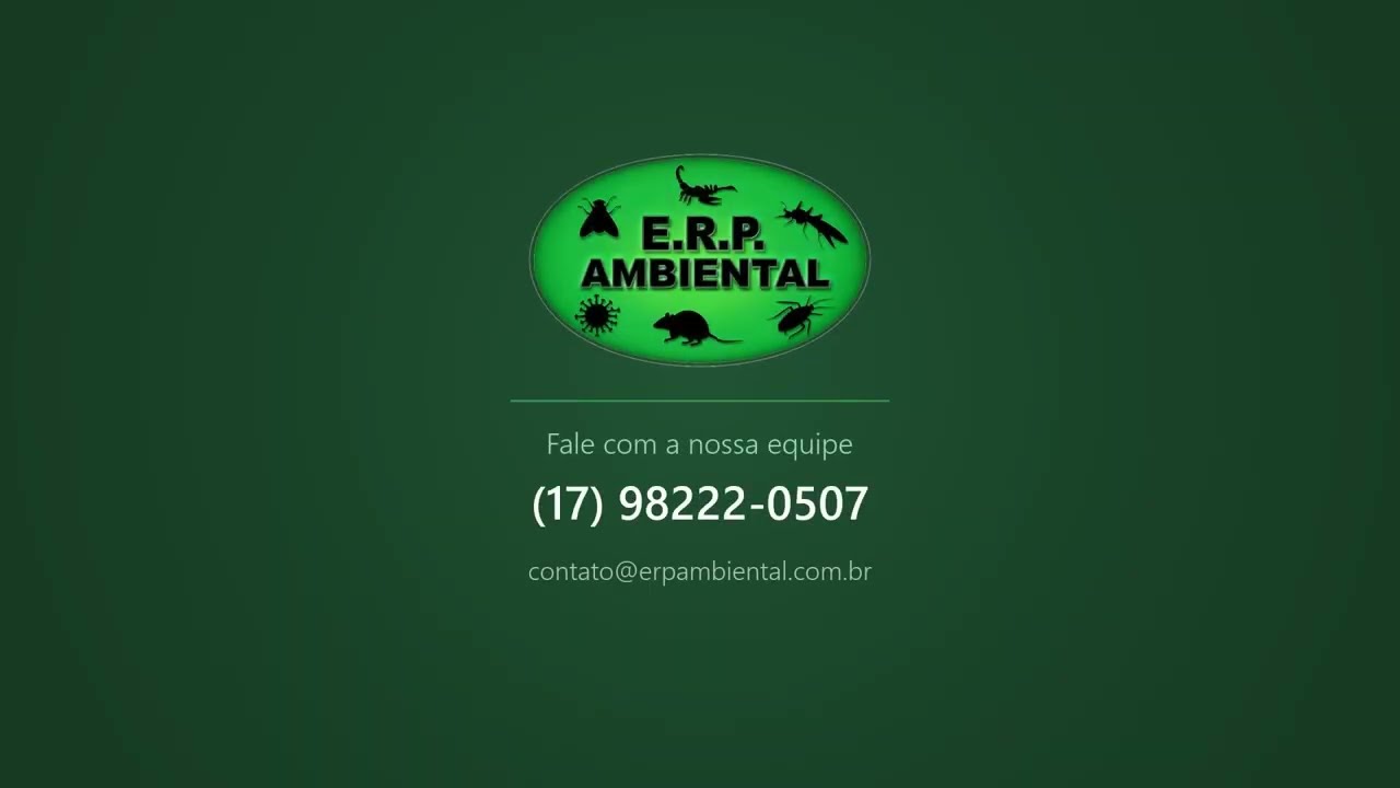 Equipe da E.R.P. Ambiental realizando nebulização em via pública