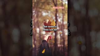 Download lagu MILE HO TUM HUMKO REPRISE VERSION-COVER LIRIK DAN TERJEMAHAN mp3 Download lagu MILE HO TUM HUMKO REPRISE VERSION-COVER LIRIK DAN TERJEMAHAN mp3