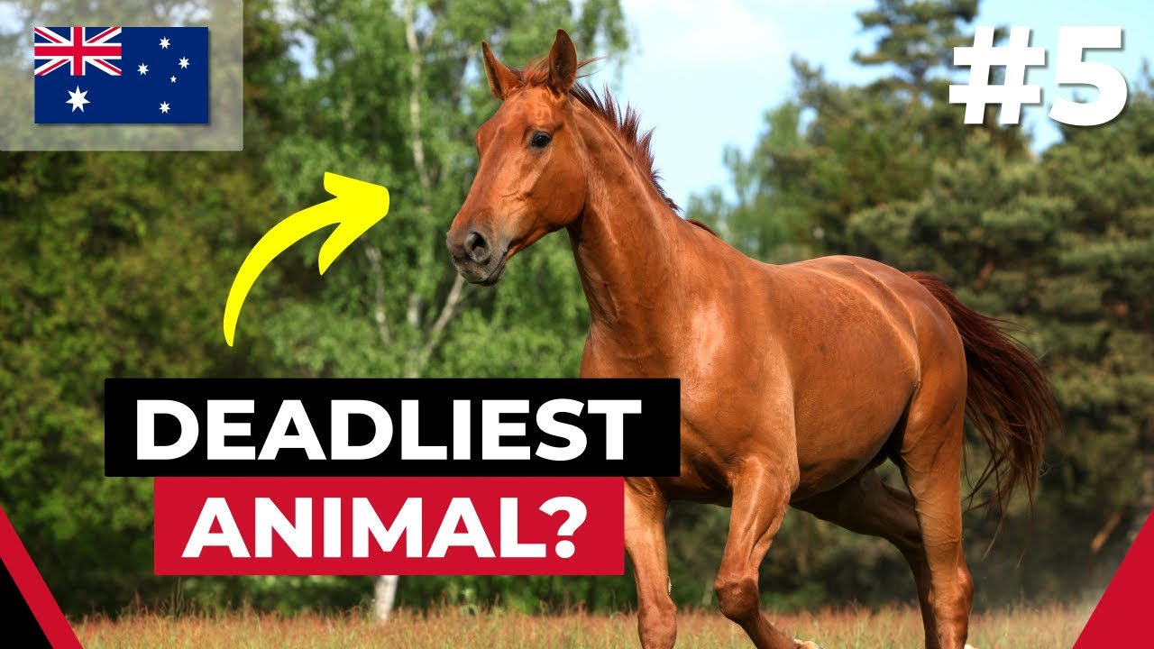 75 Useless Facts About Countries of the World