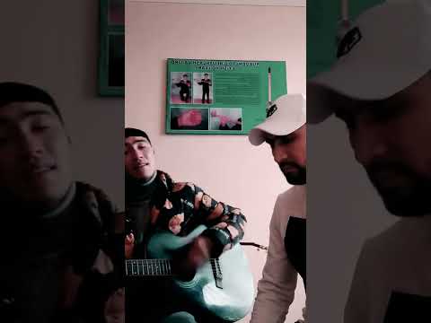 Дики Боря