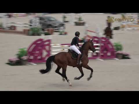 Sobota, 12. 6. 2021, 4. soutěž (S**) – ČSP v Chuchle Areně Praha