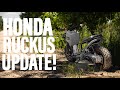 HONDA RUCKUS UPDATE! | Is it worth it?