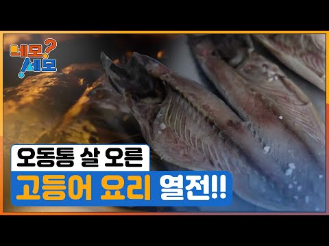 [네모세모] 오동통 물오른 고등어 요리 열전