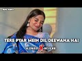 Tere Pyar Mein Dil Deewana Hai Slowed Reverb Alka Yagnik Udit Narayan 90 S Lofi Hindi Song