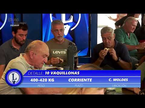 01-04-26 - 135º Subasta Integral Premium de Carlos J. Lanser S.A. -  Coronel Moldes, Córdoba