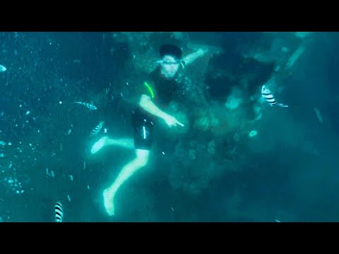 Twin Lagoon - Kayangan Lake - Skeleton Shipwreck 🥽