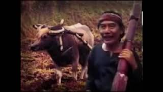 Download lagu Baridin - Drama Tarling Putra Sangkala - Abdul Ajid - Full mp3 Download lagu Baridin - Drama Tarling Putra Sangkala - Abdul Ajid - Full mp3