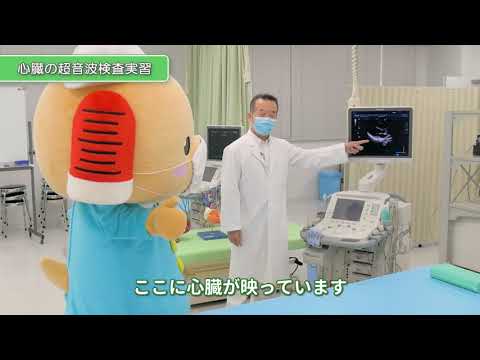 神戸常盤大学【医療検査学科】実習「サーモグラフィ+超音波検査(乳がん検査、心エコー)」+学生による心エコーマニュアル