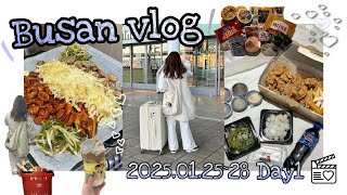 【韓国vlog】冬の韓国は寒すぎるからソウルより釜山！オンマと行く3泊4日の韓国親子旅~！💕︎💕︎
