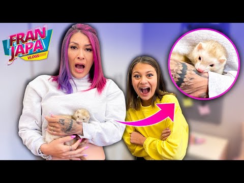 O FURÃO DA BIANKINHA ME MORDEU !!! - Fran Japa