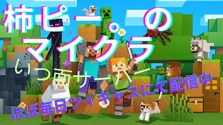 こんばんわ建築すると思う / マイクラ　いつ面サーバー (2024.07.09)(2/2)