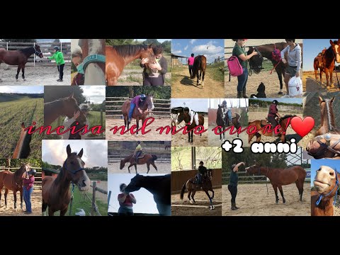 Incisa nel mio cuore!❤ | +2 anni 💞 || WR