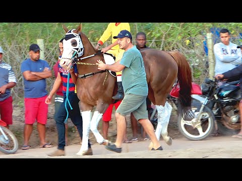 GP no Rio de Janeiro - Canto do Junco - Corrida de cavalos