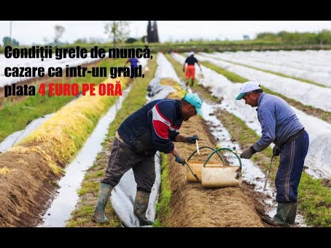 Youtube video image