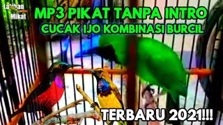 Download lagu MP3 PIKAT CUCAK HIJAU AMPUH KOMBINASI BURCIL RIBUT/TERBARU mp3