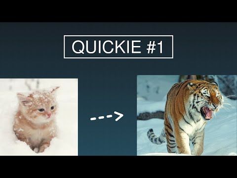 Quickie #1 : W. A. MOZART - SYMPHONIE N°40 (2 Clarinettes & Cor de basset)