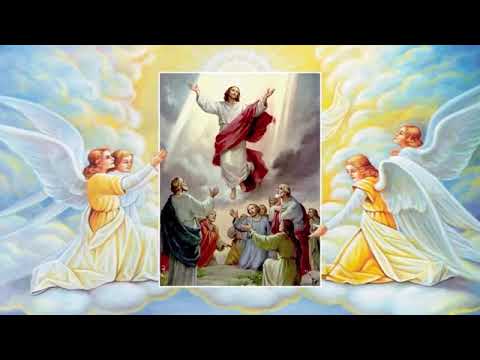 Holy Rosary - Glorious Mysteries - Wednesday & Sunday