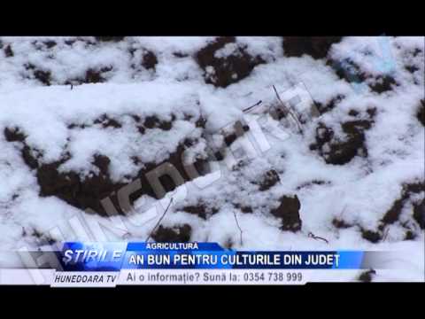 AN BUN PENTRU CULTURILE DIN JUDEŢ