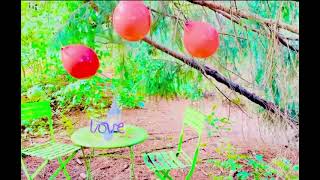 Come Back Be Mine Music Video