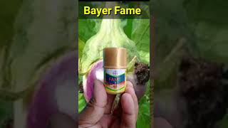 Download lagu Best insecticide for brinjal|| fruit and shoot borer# short || mp3