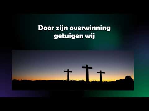 Opwekking met tekst 872 Wonderlijke kracht versie 1