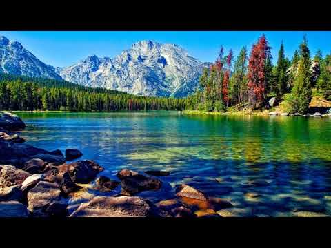 Plecaciune tie # Oastea Domnului