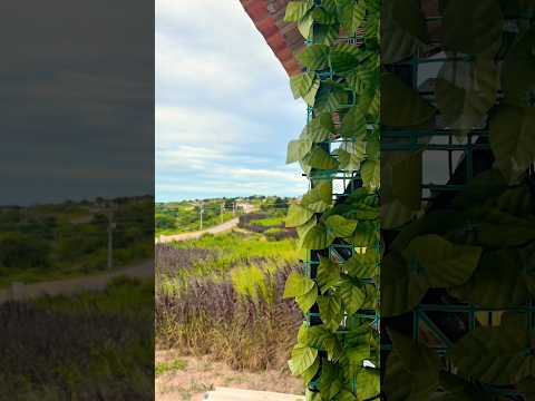 Lugar de PAZ na belíssima Serra de São Bento - RN