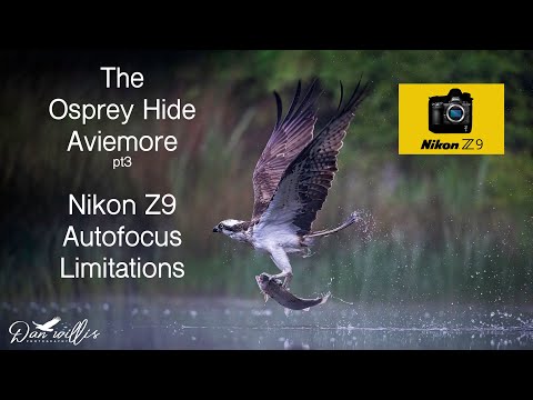 The Osprey Hide, Nikon Z9 AutoFocusing + BONUS FOOTAGE