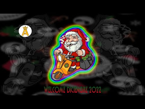 Se Vino DICIEMBRE 🎅🏻🔥 2.0  (SET GUARACHA) Aleteo, Zapateo, Tribal (Prod.@DjMorphius)