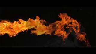 The Solomon Cole Band - Ring Your Bell (Official Video) - Aeroplane Music Records