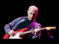 Mark Knopfler - Redbud Tree (HD)