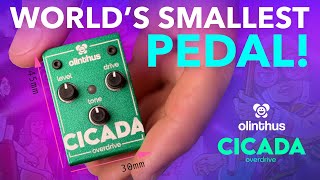 Video thumbnail for The World's Smallest Effects Pedal??? Olinthus Cicada Overdrive! by Olinthus