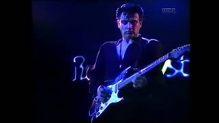 The Fabulous Thunderbirds - Full-Time Lover (Rockpalast 1980)