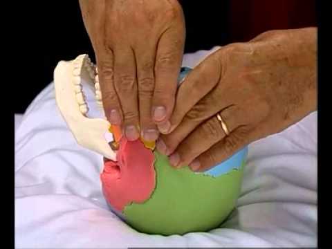 15CantHook Sphenoid release