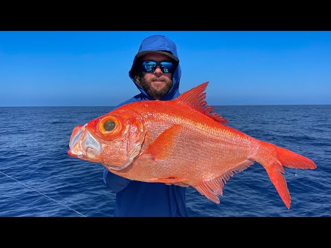 We Ran 200 Miles & Caught a Giant Goldfish In 1000 Ft | CCC