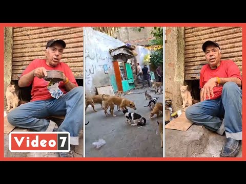 عم عاطف الطيب صديق الكلاب.. عمل عزاء لكلب بلدى و1000 قط وكلب بيزروه كل يوم
