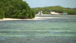 preview picture of video 'Bayahibe, mangrovie,catalinita, piscine naturali, las palmillas.mp4'